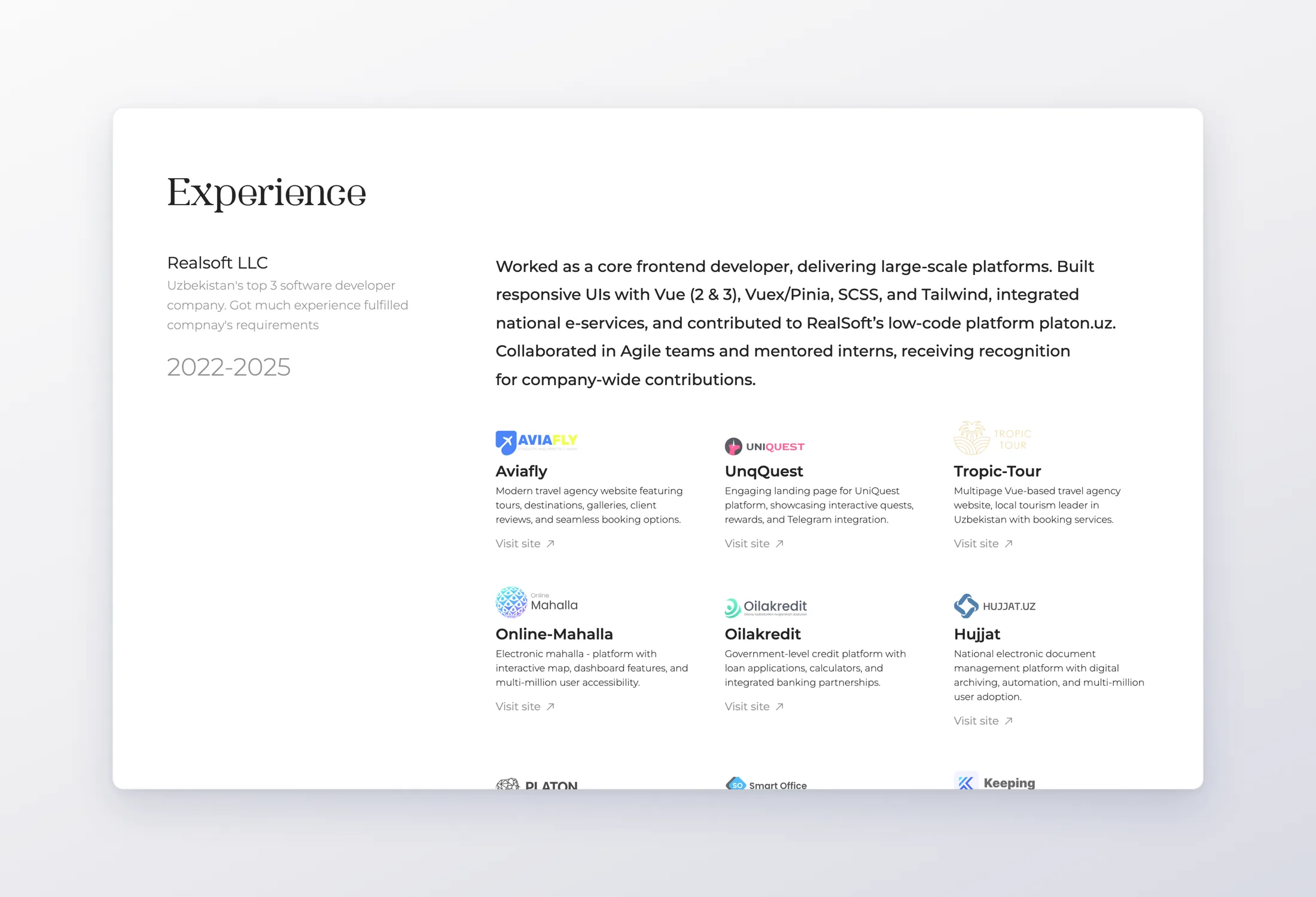 Experience, with the projects inside each role