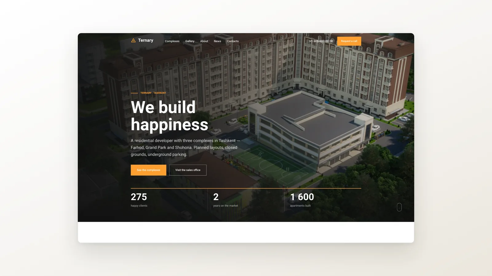 Ternary — A developer launched in twelve working days.